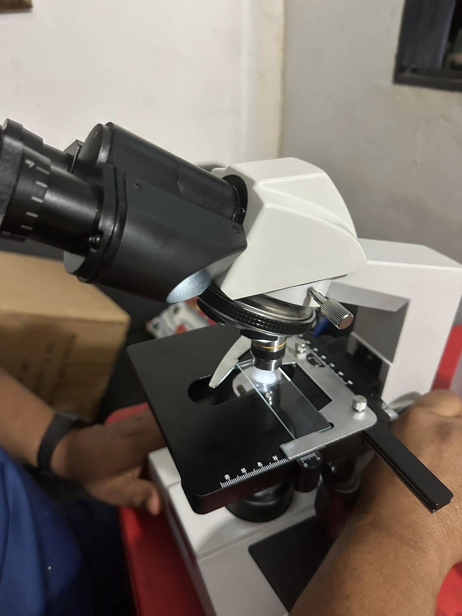 Control de calidad de semen porcino con microscopio